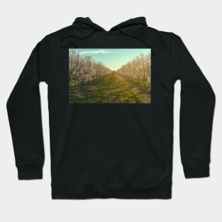 Morning at Almond Farm Hoodie